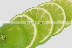 FROZEN SEEDLESS LIME _ HIGHT QUALITY _ GOOD PRICE