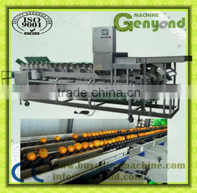 vertical fruit grading machine