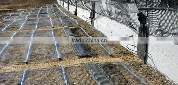 Polyester Geogrid