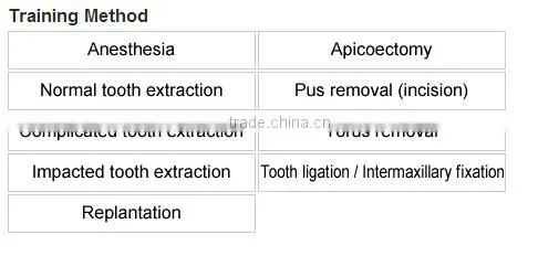 Oral Surgery Jaw Model
