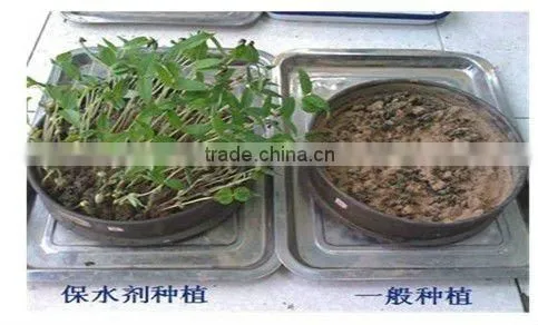 Polymer gel crystals ( super absorbent polymer ) used for agriculture