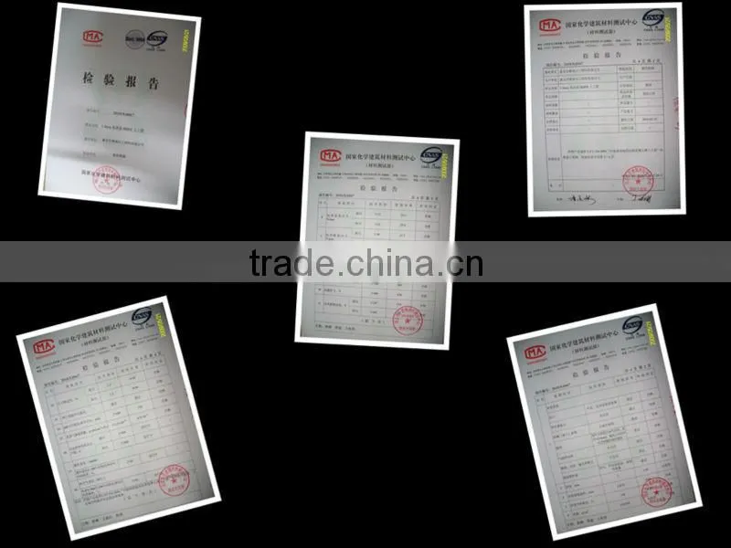 12.5mmx12.5mm Geogrid with CE /ISO Certificate
