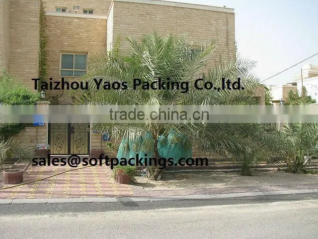 Sample free green mono filament HDPE date tree date palm mesh net bag for date cover with black drawstrings