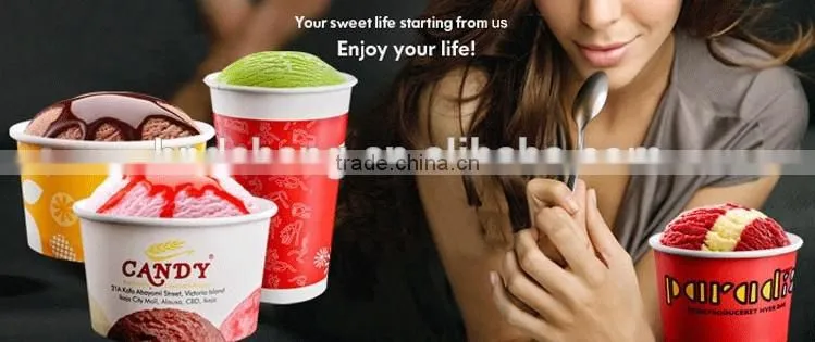 Custom Disposable Paper Coffee Cup