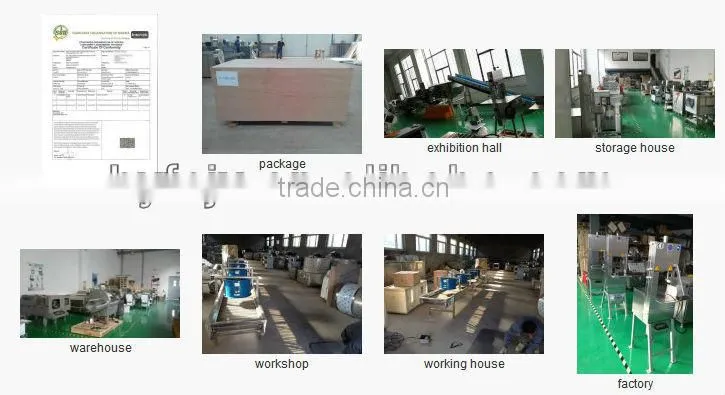 Multiple Function Low Investment But With Compact Structure Stainless Steel Potato Slicing Machine