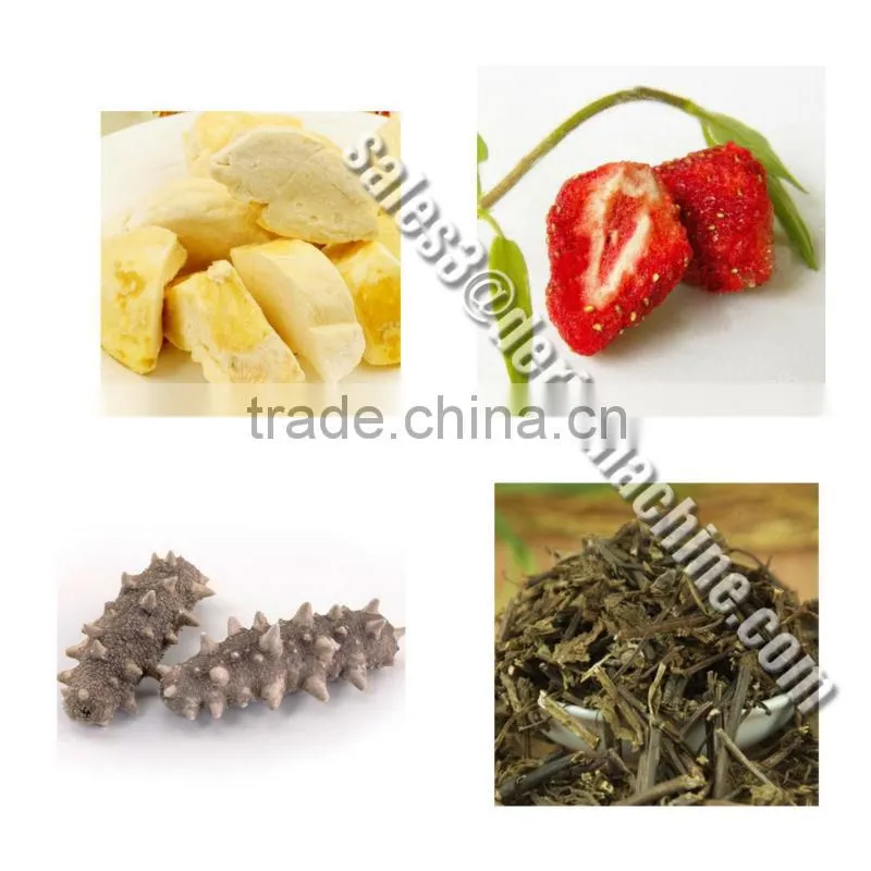 Top Grade Freeze Dryer Manufacturer