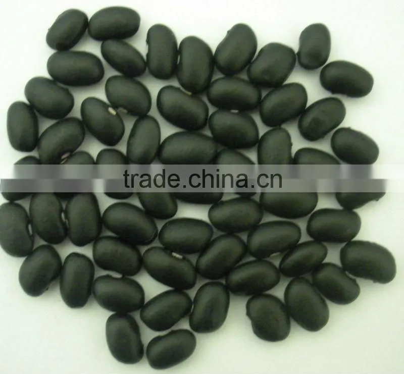 Small Black Kidney Bean