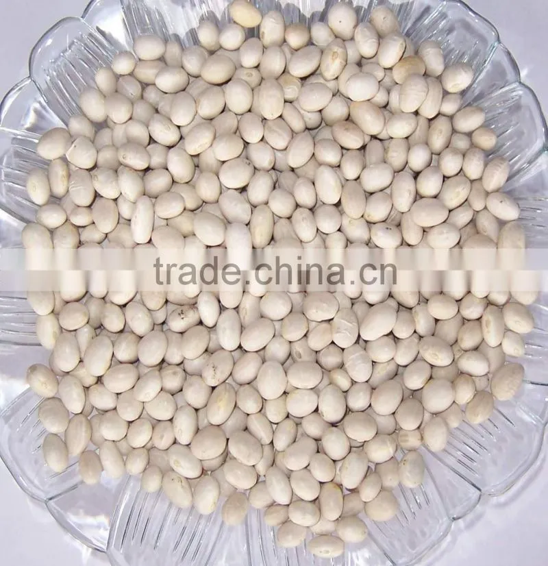 2015 white kidney beans for sale with cheaper price from china