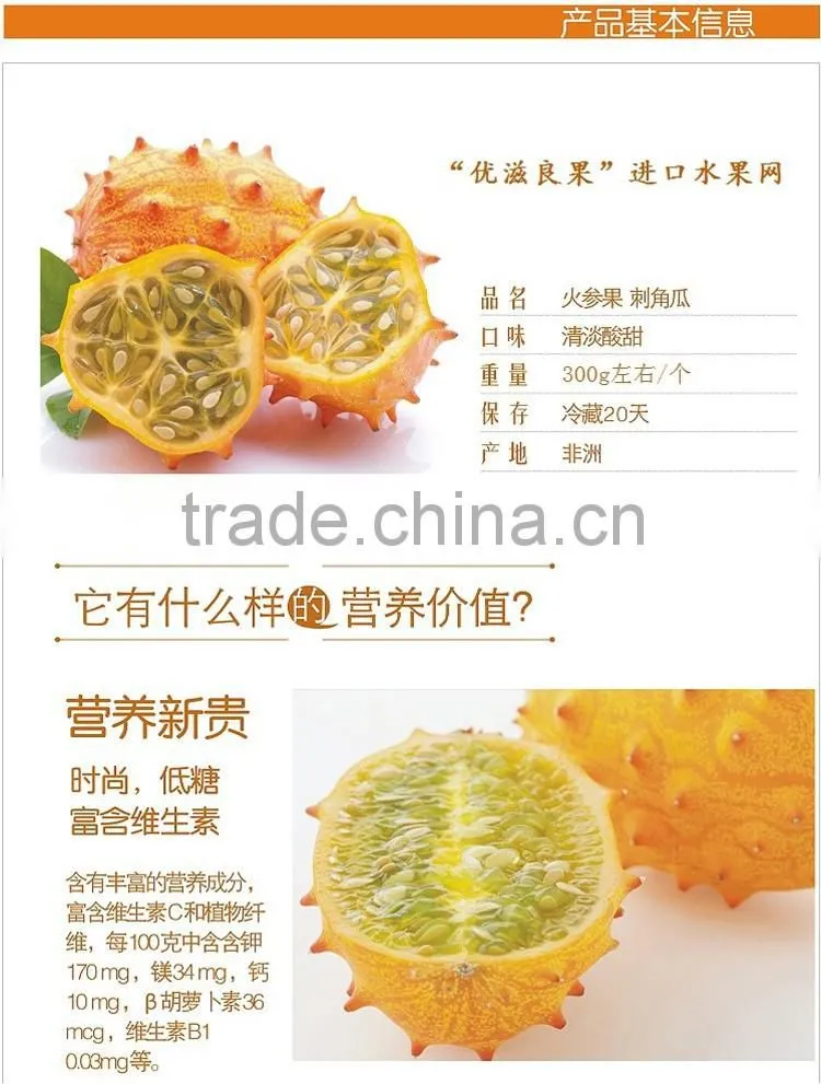 Hedged gourd Melano Kewana Cucumis metuliferus Seeds