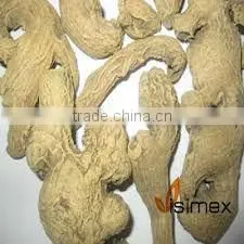 DRIED GINGER