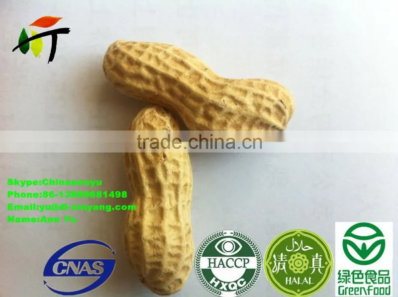 good salted roasted peanut in shell