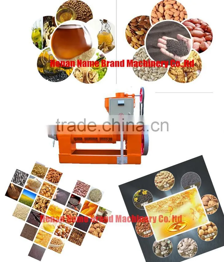 tiger nut screw oil press machine