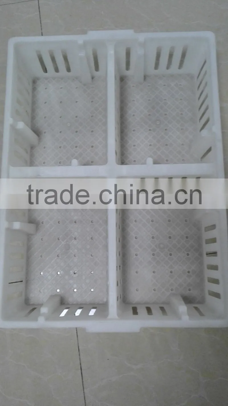 plastic chicken tranport stackable cage/box/crate for child chicken