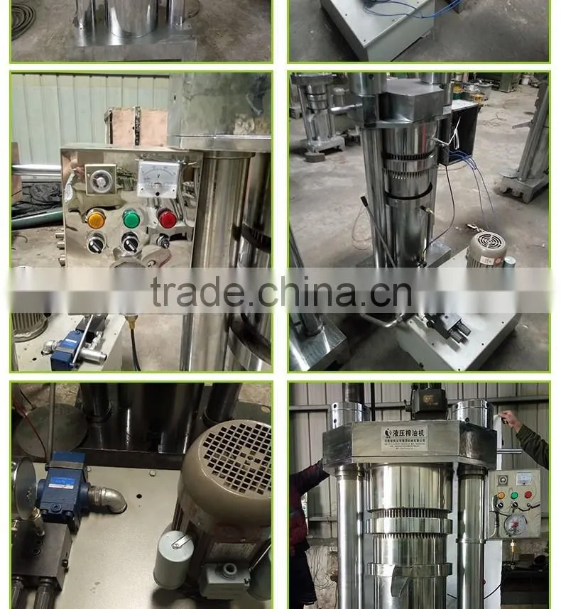 Cost-efficient Cocoa Butter Press Machine Sesame Oil Press Machine