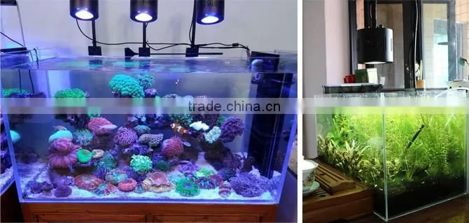 Hot sale machine coral aquarium bulb with CE certificates