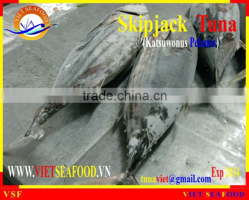 FROZEN W/R SKIPJACK TUNA
