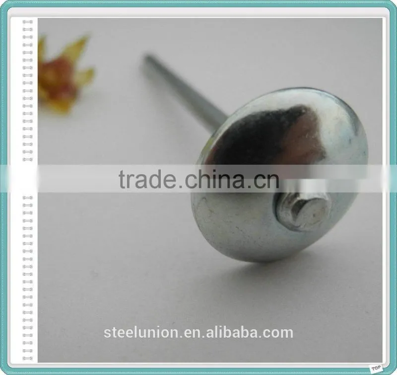 Twist Shank Galvanized Roofing Nails with Plastic Washer/Umbrella Head Nail