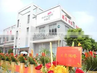 Foshan Tongxin Artificial Flowers Co., Ltd. company overview - view 1
