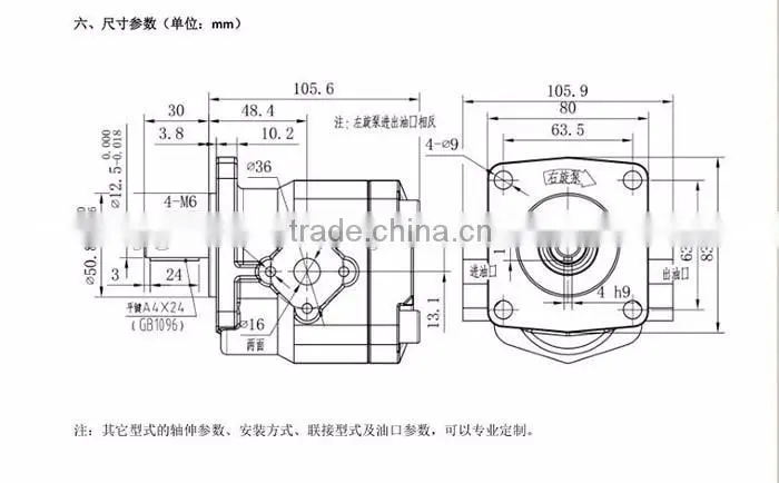 China hydraulic gear motor