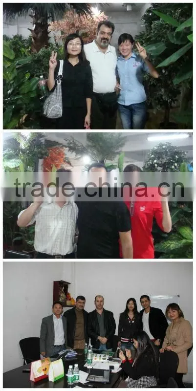 newest high quality best decorative artificial banyan tree,fake ficus tree on sale