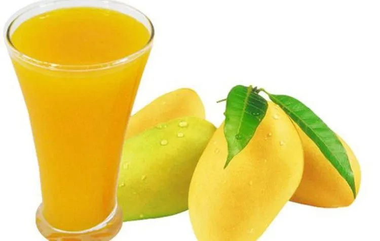 Fully Automatic Fresh mango Processing Machine for Puree Juice