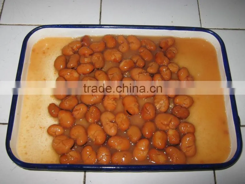 canned broad beans