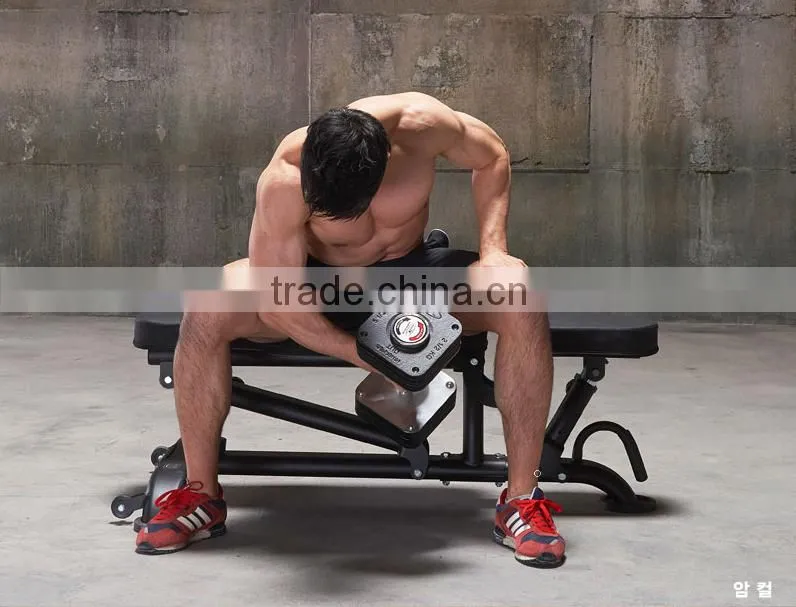 Solid Commercial Grade Bench/ Gym Equipment/ Rack