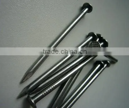 steel nails/Nails/Common nails/Nails facyory