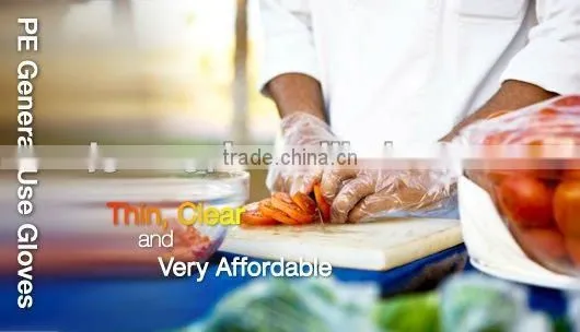Disposable PE glove/High quality PE gloves/food grade PE gloves