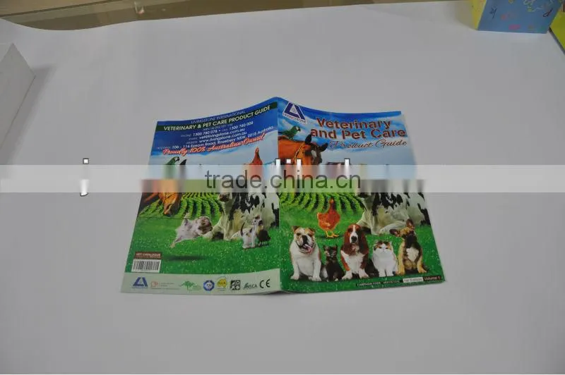 softcover primary school pamphlet paper printing online