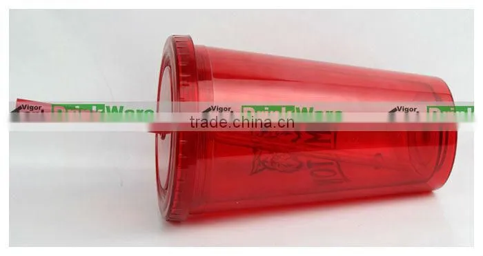 Double Walled Eco Cups with Straw