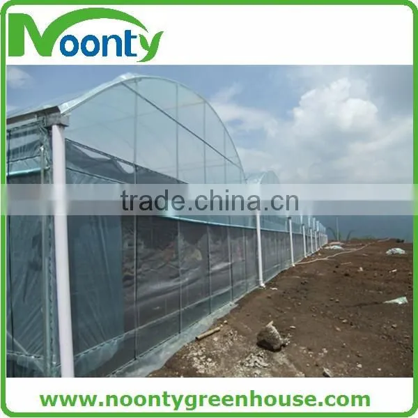 Hydroponics Greenhouse