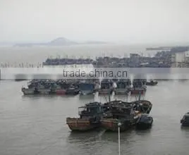 Shishi G-Shield Seafood Technology Co., Ltd. company overview - view 2