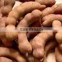 Fresh sour Tamarind
