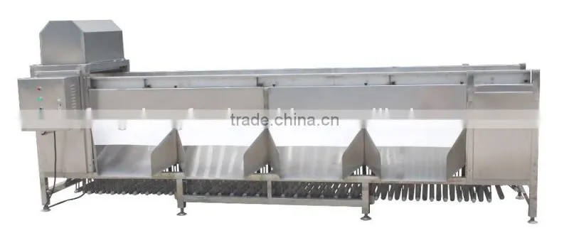 OG-606 CE Qualified Vegetable and Fruit Sorting Machine