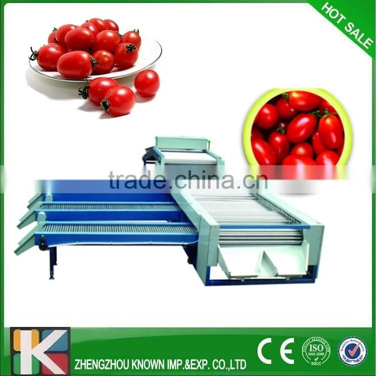 Garlic grading machine garlic grade potato sort machine