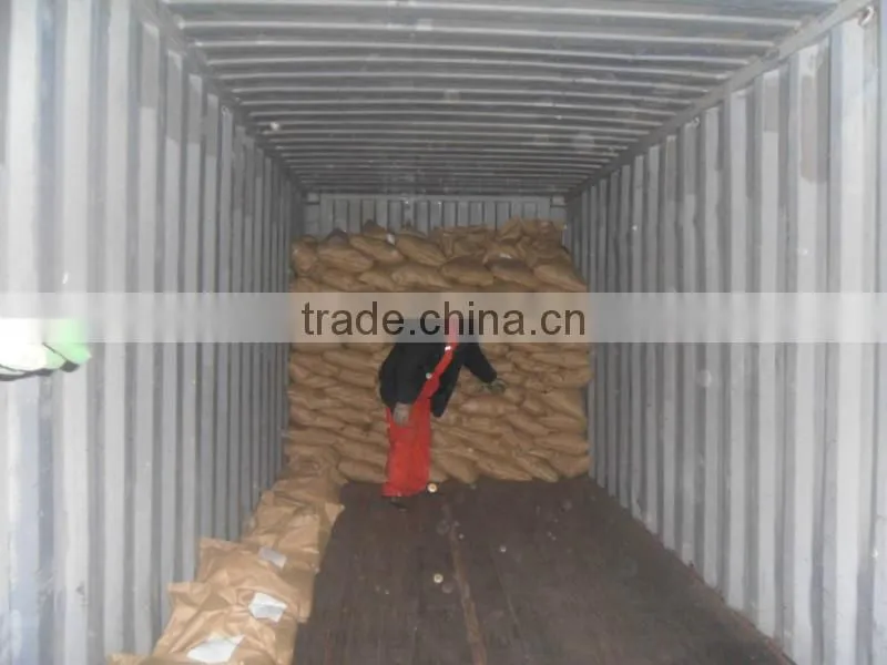corn gluten meal