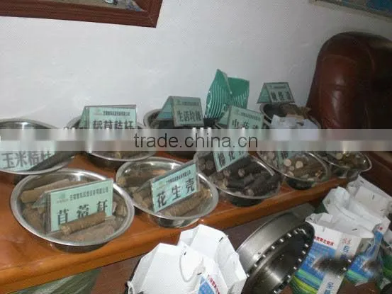 Hot sell Straw Press Machine in China