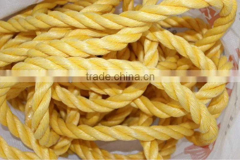 pp danline rope