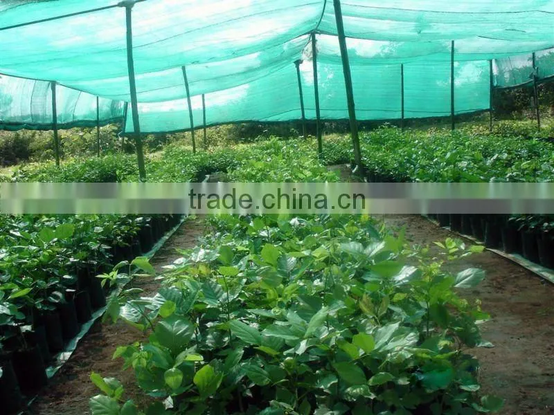 China good quality agricultural green hdpe sun shade net