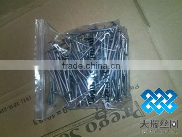 Galvanized iron nails (factory)