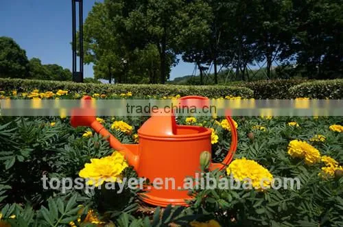 2016 children watering cans in bulk