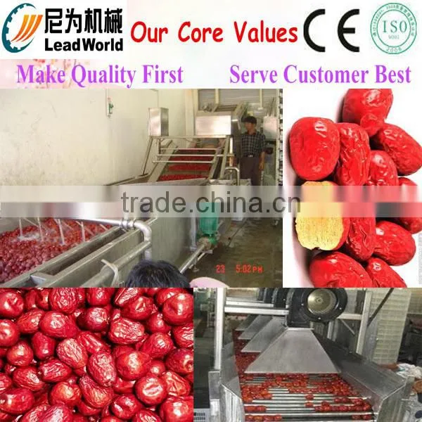 Commercial Fruit Drying Machine / Fruit Mesh Belt Dryer