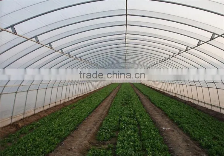 Tunnel Greenhouses With Supporting Systems
