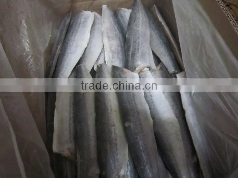 frozen spanish mackerel fish fillets(best quality)
