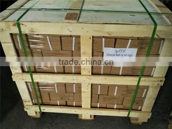 100 Count 6" Landscape Fabric sod Staples