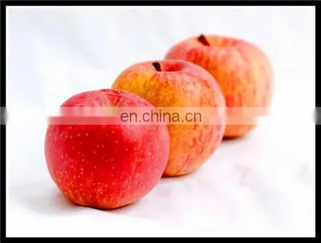 PU sandwich panel for walk in freezer to store frozen fish