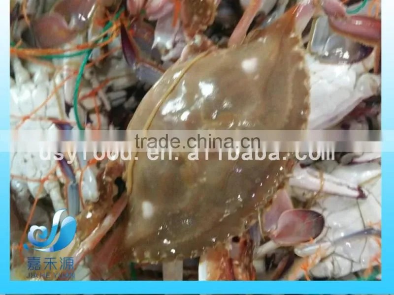 frozen blue swimming crab 100g -150g 150-200g