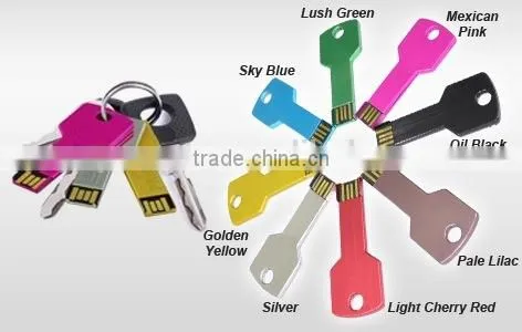 The Ultimate USB *Key* Drive Key USB 8GB