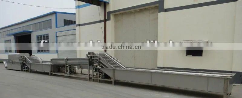 jujube production line/fruit production line/ food processing machine/food machine